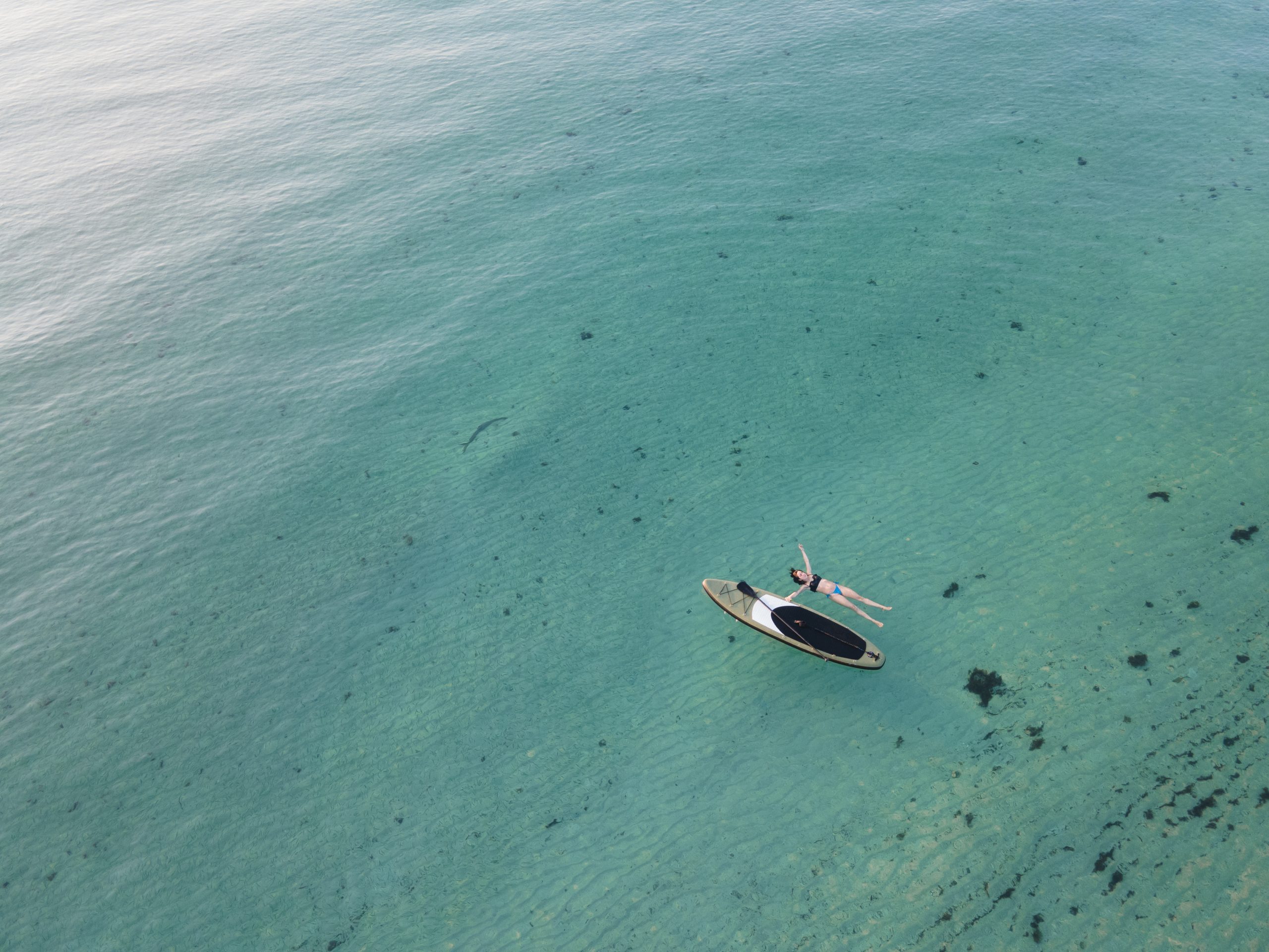 Flottant dans la mer